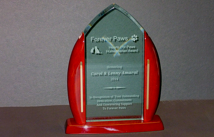 Acrylic award