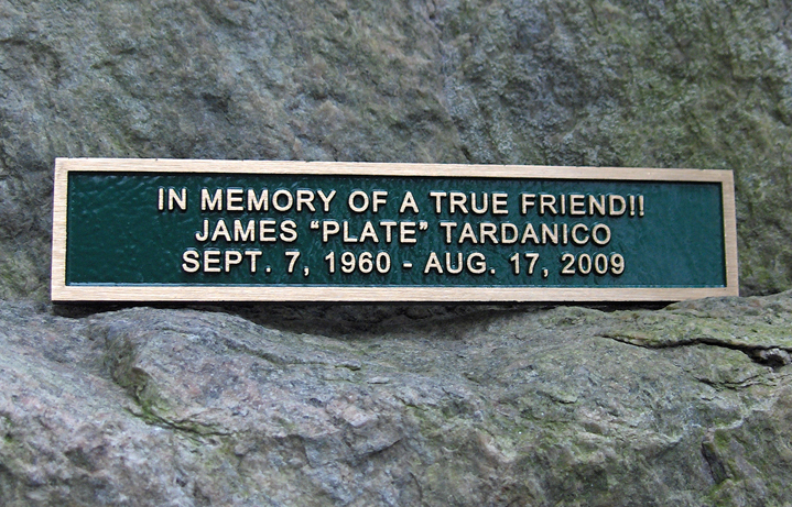 2 in. x 10 in. Bronze memorial plaque with raised letters, green stain, leatherette background & concealed studs